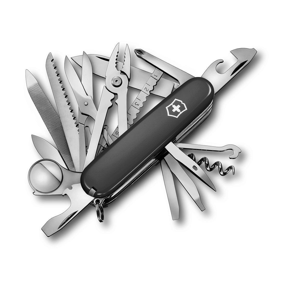 CORVI16795.3-1