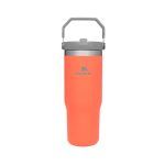 Jarro Stanley Tumbler 9993C