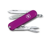 Cortaplumas Victorinox Tasty 0.6223.52G