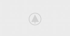 wood-gallery-placeholder-5