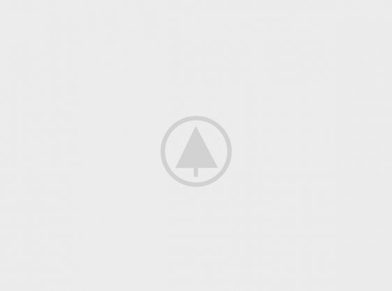 wood-gallery-placeholder-5