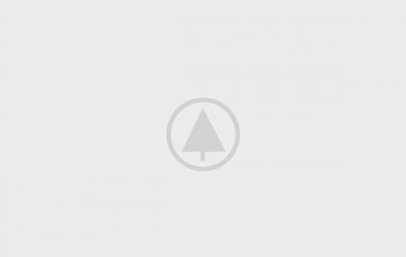 wood-gallery-placeholder-5