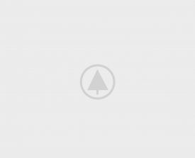wood-portfolio-placeholder