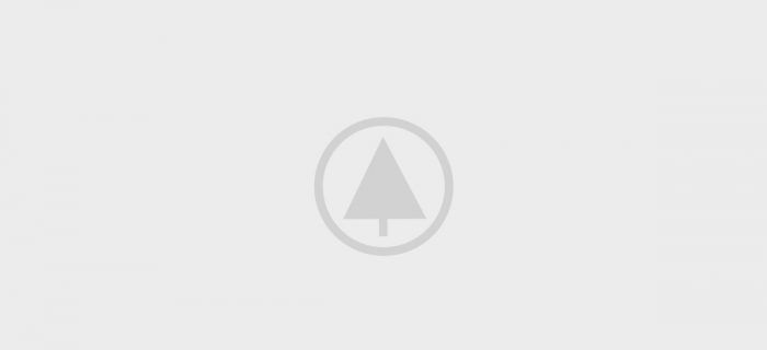 wood-portfolio-placeholder